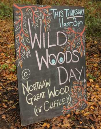 A special woodland day in Hertfordshire