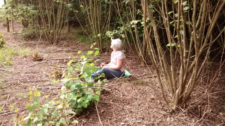 Woodland - a space for comtemplation and relaxation - with Wassledine