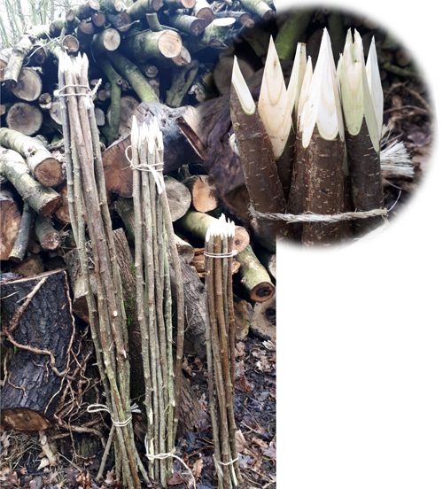 3,4 5 and 6 foot pointed, hazel flower sticks from Wassledine available now