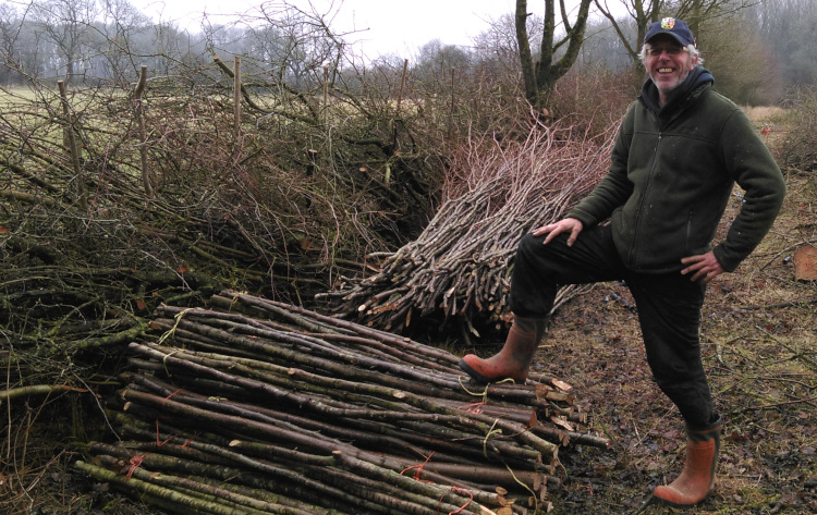 Ed with hedge and Wassledine stakes and binders