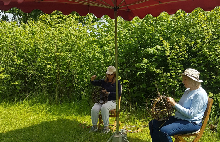 Make a willow ball in the woods with Wassledine