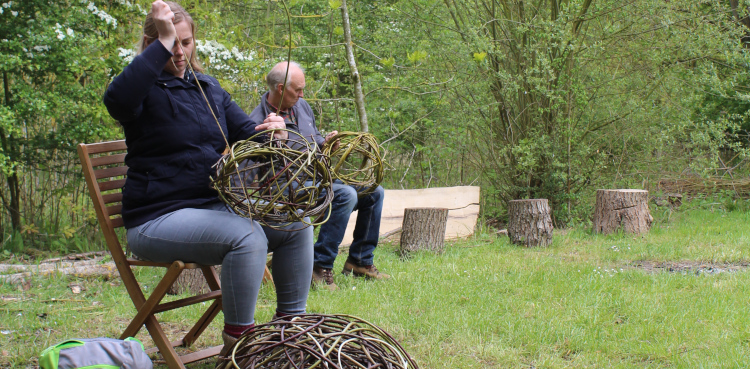 Make a willow ball in the woods with Wassledine