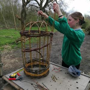 Making a willow cloche