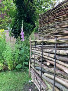 Cottage garden log stack 'dead hedge' with woven willow screen on top. 