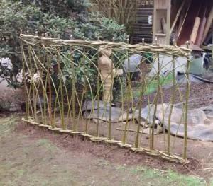 A living willow fence 